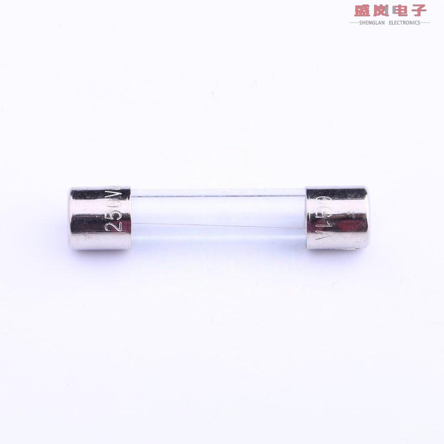 原装正品6G.1000210000S1[一次性保险丝250V 1A]