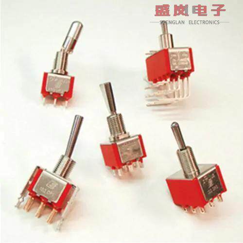 原装正品1003P1T2B1M1QE[拨动 5A 120VAC/28VDC On