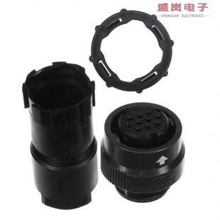 HSG JN2DS10SL1 INLINE 10POS FMALE PLG CONN 正品 原装