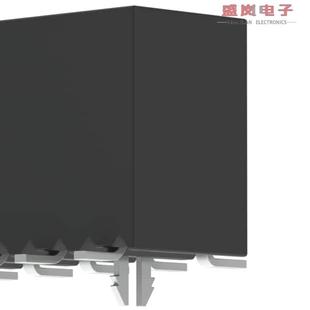 105 SMD RCPT 正品 SSM 10POS GOLD 原装 0.1 CONN