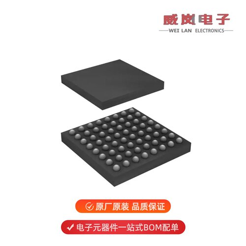 S70GL02GT12FHIV20|S70GL02GT12FHIV10原装