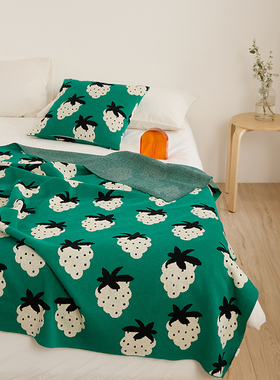 北欧纯棉草莓毛毯 全棉沙发盖毯空调毯单人薄毯车载毯 户外露营毯