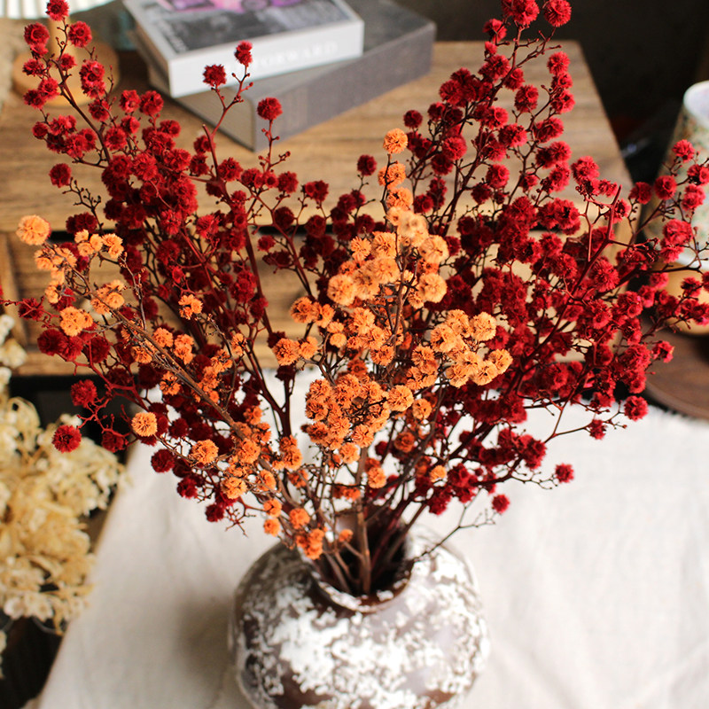 毛绒球虎眼永生花束装饰插花桌面摆件DIY材料包高级感喜庆软装,鲜花速递/花卉仿真/绿植园艺,永生花,淘宝优惠券,粉丝福利购,淘宝优惠卷