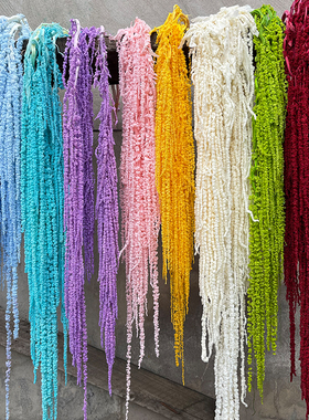 吊米永生花柔丽丝情人泪吊穗软装陈设婚庆布景装饰花材真花干花