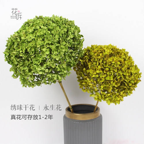 云南绣球干花永生花真花花诉