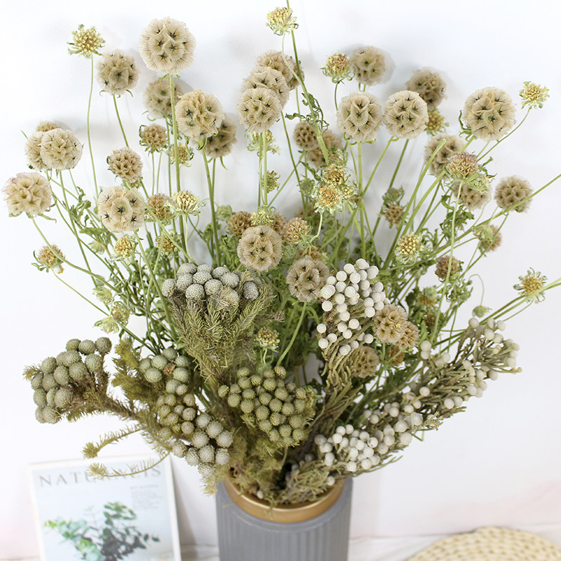 进口银珊瑚风车果干花复古简约装饰摆设插花配花高端精致diy花材