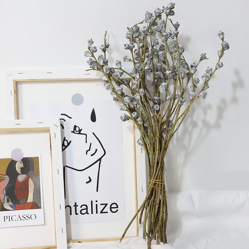 干枝果森系配叶民宿客栈意境