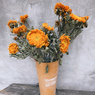 飾擺設(shè)復(fù)古油畫(huà)風(fēng)diy花材 重瓣向日葵干花云南天然真花店鋪家居裝