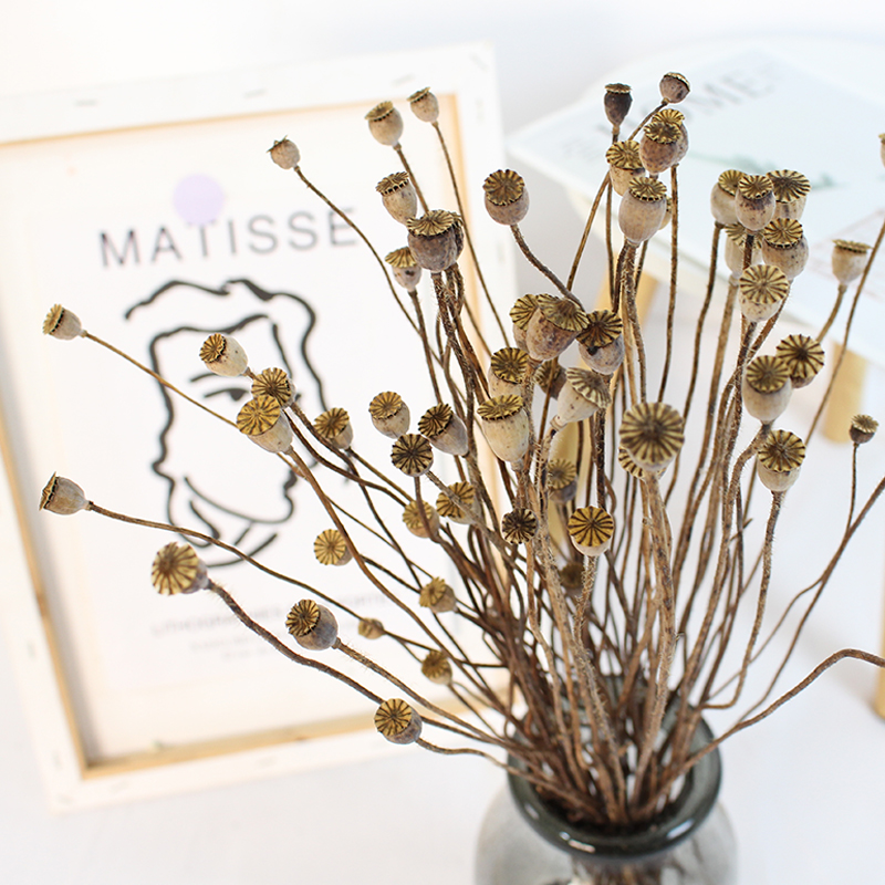 各种干花干枝diy花材禅意插花