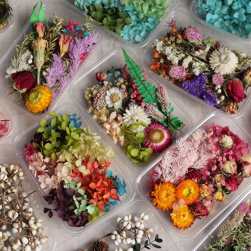 手工干花团建活动DIY材料包真花