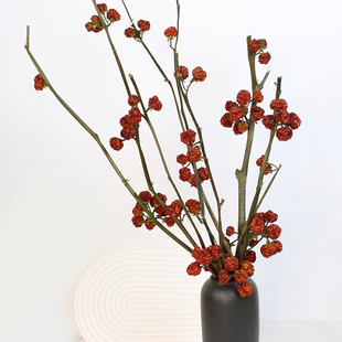 小南瓜果干枝干花装饰天然真花家居软装红色插花树枝摆件造景陈设