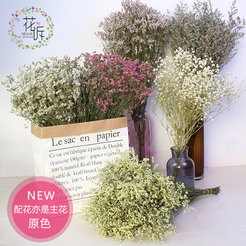 满天星水晶草情人草干花主花配花图片