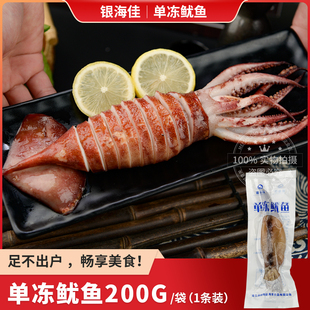 单冻整条大鱿鱼生鲜冷冻商用批发海鲜铁板炭烧烤泰式香烤鱿鱼200g