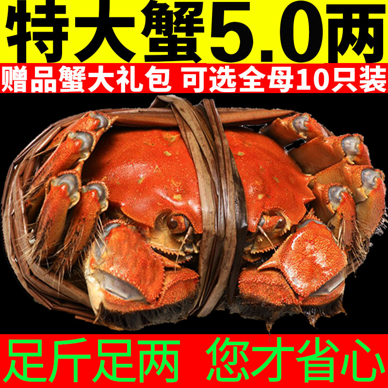 Á½Ö»ºÐ×°