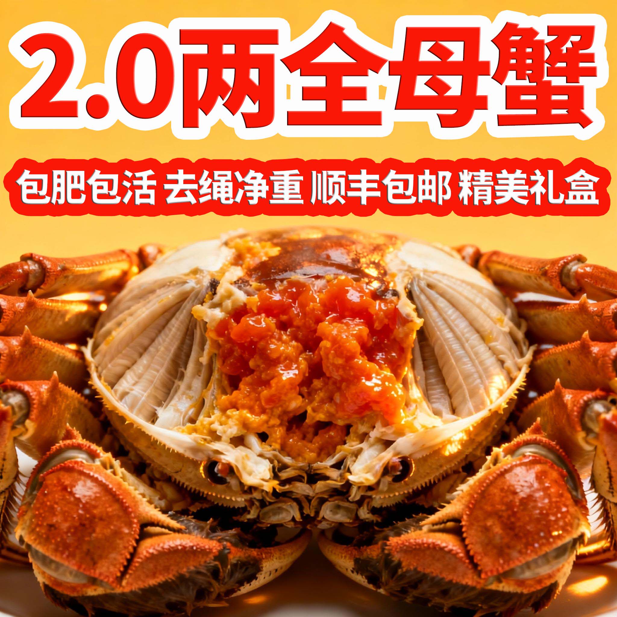 【春节不打烊】活蟹2.0两全母洪泽湖大闸蟹鲜活江苏螃蟹10只礼盒