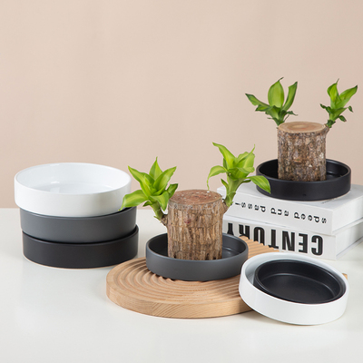 陶瓷防漏水养水培巴西木专用托盘