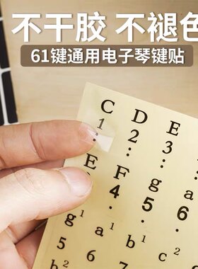 雅马手卷音标数字透明钢琴键盘