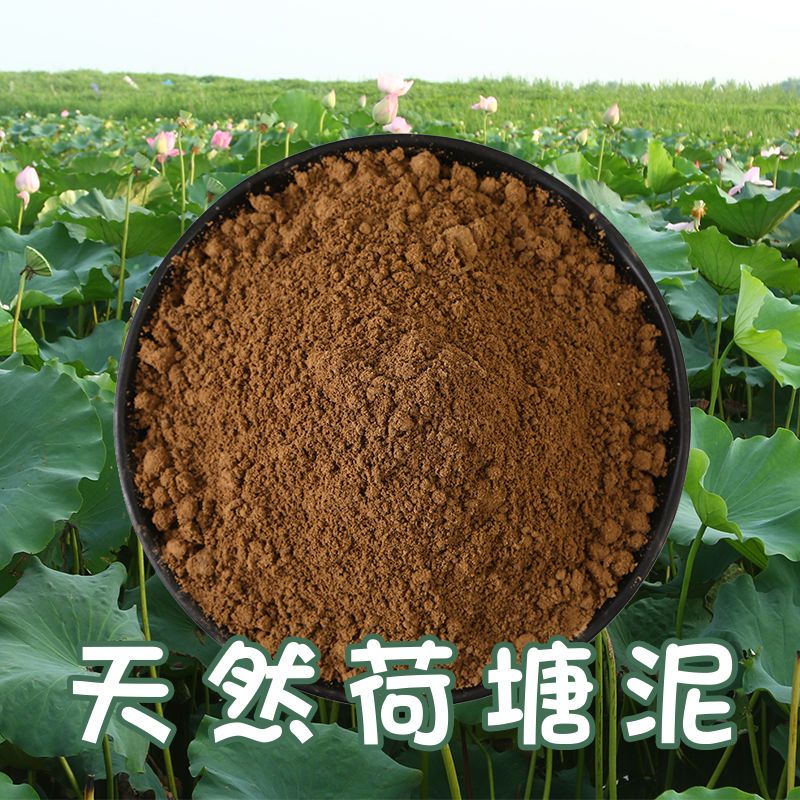 荷塘泥碗莲淤泥水培花卉用睡莲铜钱草莲花专用土荷花专用泥河塘泥