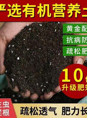 通用型营养土种菜种花种植泥土绿植有机黑土壤家用园艺养花肥料
