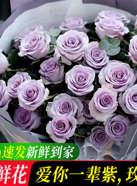 爱你一辈紫玫瑰云南鲜花基地直发斗南花卉市场家用插花束真花水养