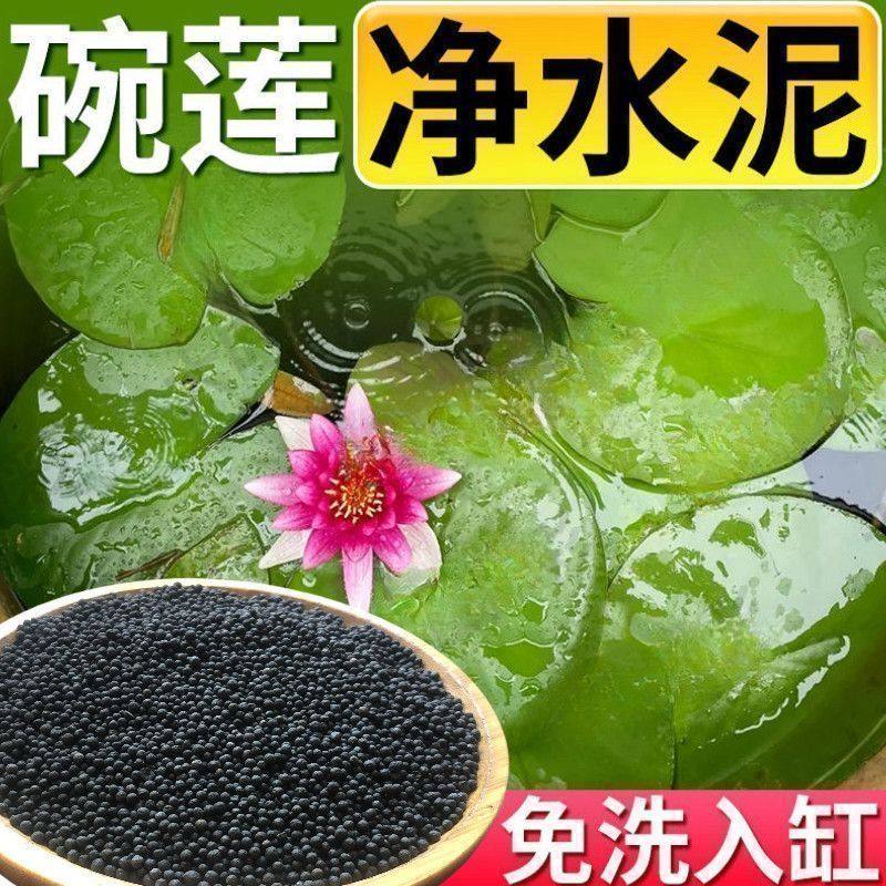 碗莲专用水草泥碗莲高肥力陶粒睡莲水培植物造景营养臭水浑水鱼缸,鲜花速递/花卉仿真/绿植园艺,家庭园艺肥料,淘宝优惠券,粉丝福利购,淘宝优惠卷