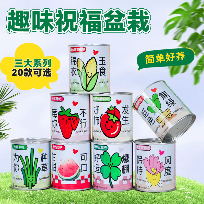 种植小盆栽学生版DIY礼物宿舍桌面罐头植物小学生幸运草向日葵
