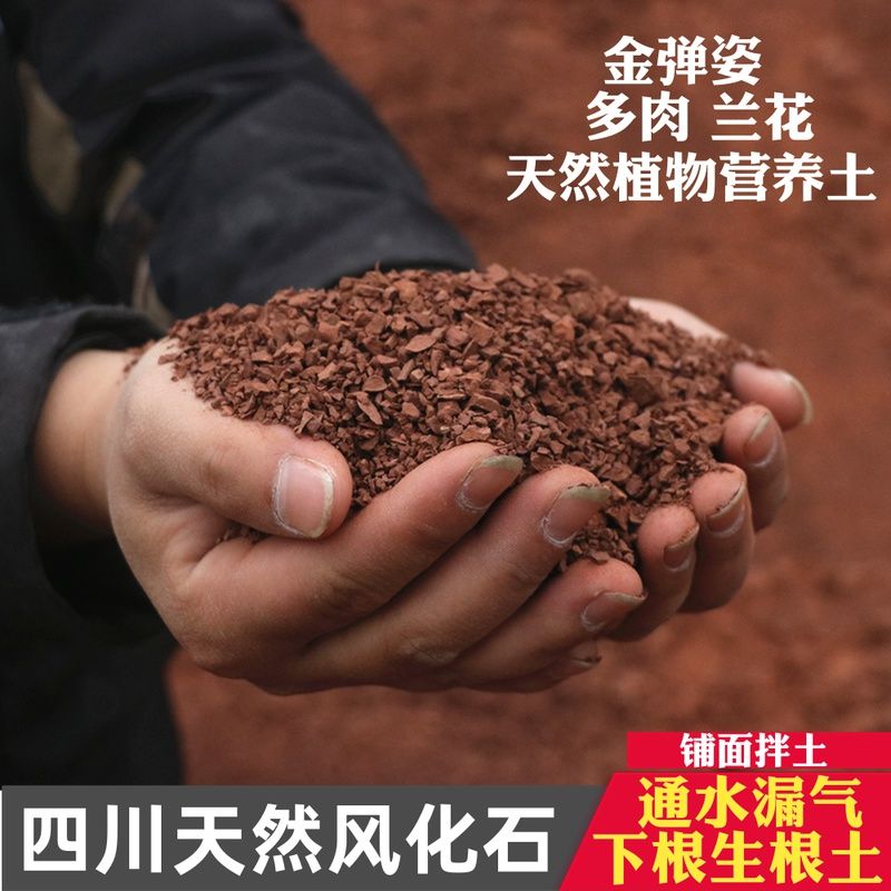四川天然风化石金弹子兰花多肉生根营养土酸性土渗水石红土颗粒