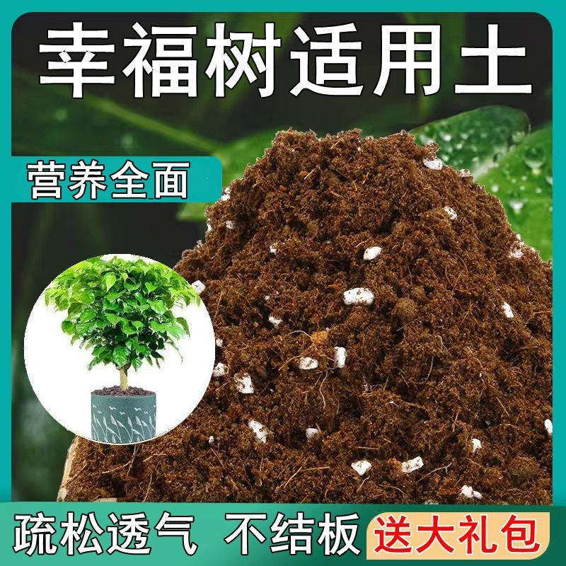 幸福树适用土疏松透气盆栽绿植专用室内植物通用型营养土黑土肥料