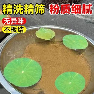 天然荷塘泥碗莲睡莲铜钱草水生植物专用泥塘泥土淤泥碗莲河塘泥土