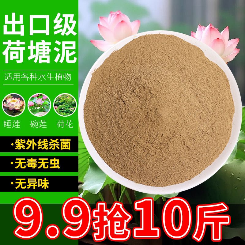 天然荷塘泥碗莲睡莲铜钱草水生植物专用泥塘泥土淤泥碗莲河塘泥土