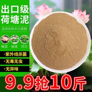 天然荷塘泥碗莲睡莲铜钱草水生植物专用泥塘泥土淤泥碗莲河塘泥土