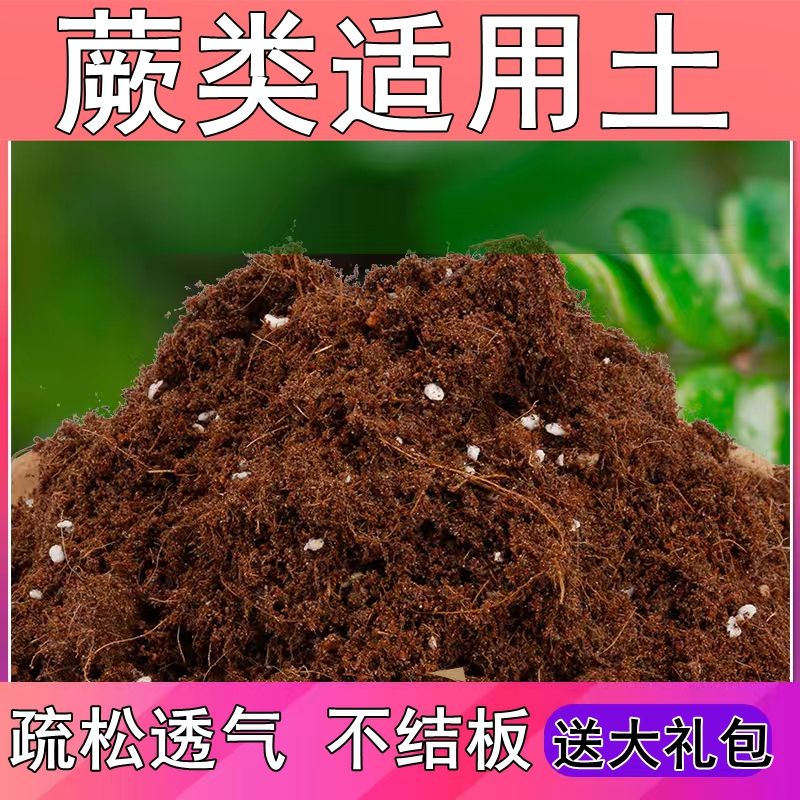 蕨类适用土疏松透气盆栽绿植专用室内植物营养土肥料