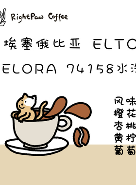 RightPaw25产季埃塞俄比亚Elto ELORA水洗/蜜处理/厌氧日晒手冲豆