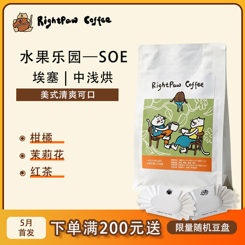 果香满满比较清新的咖啡豆