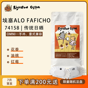 RIGHTPAW埃塞俄比亚 ALO 法菲乔 日晒手冲咖啡豆OMNI烘焙