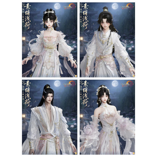剑三剑网3荷花盒 素綃浅荷白发黑发衣服挂件动作外观