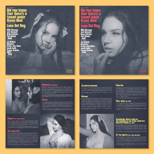 LanaDelRey打雷姐音乐专辑海报歌词卡卧室宿舍装饰画墙贴无框画