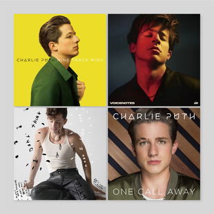 Charlie Puth断眉音乐专辑封面海报宿舍卧室房间装饰画墙贴无框画