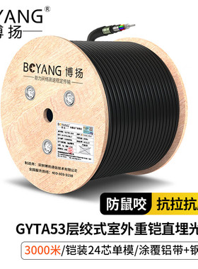 博扬（BOYANG）BY-GYTA53-24B1.3重铠地埋24芯单模室外光缆3000米