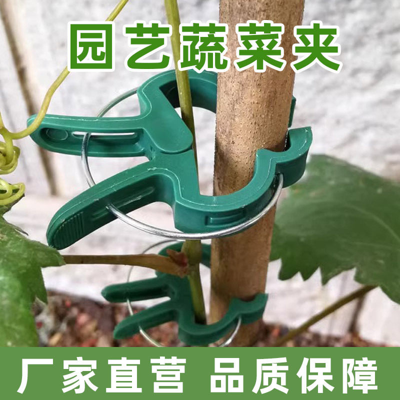 蔬菜夹固定器爬藤吊秧架子藤蔓瓜果扣子绑枝园艺工具固定专用攀爬图片