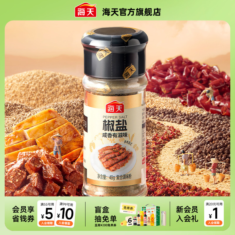 海天椒盐40g烧烤撒粉调味料