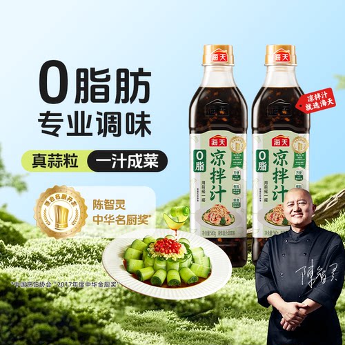 海天0脂凉拌汁560g一汁成菜
