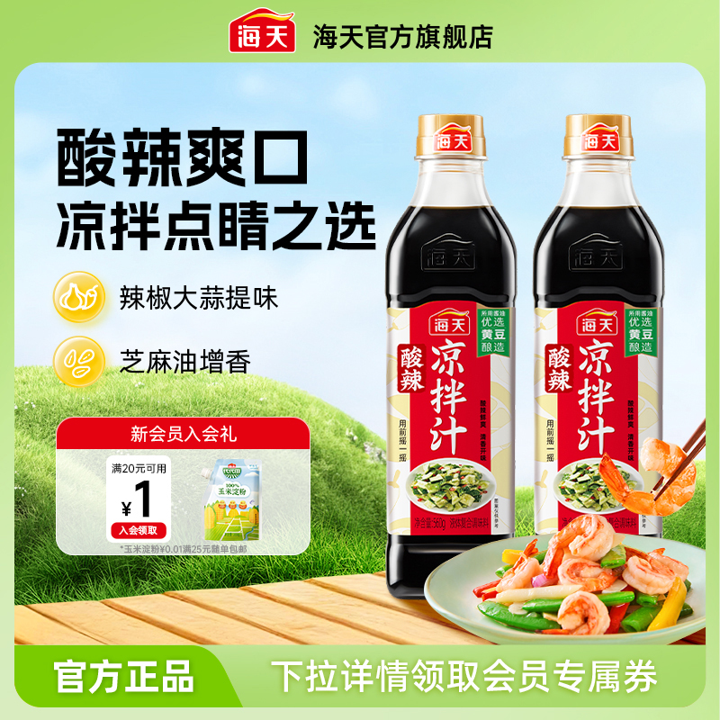 海天酸辣凉拌汁商用家用凉拌菜调味汁酸辣鲜爽冷泡汁捞汁调料 - 封面