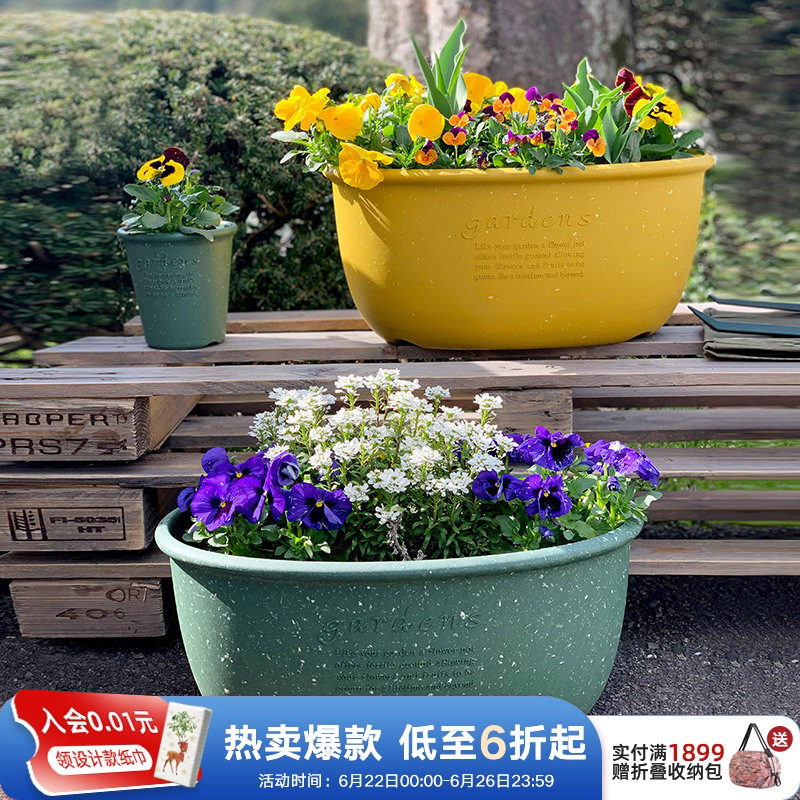 利快进口椭圆形花盆创意