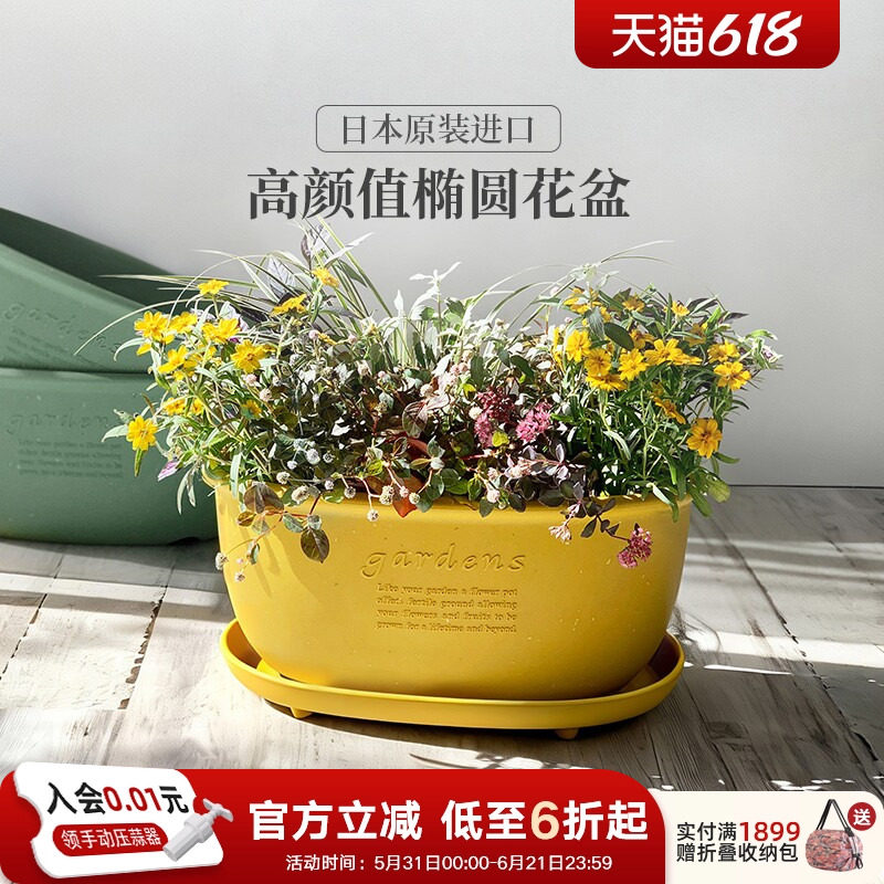 利快进口大口径椭圆形大号花盆创意高颜值加厚家用室内外阳台盆景