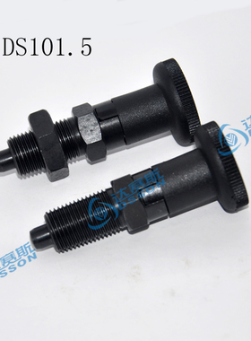 DS101.5系列黑色分度销 可替换GANTER GN617.1-5-AK