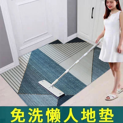 免洗PVC地毯地垫客厅入户进门口门垫过道门厅玄关脚垫可裁剪擦洗