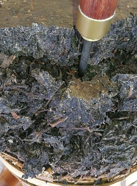 十年陈老茶高野千两茶柱金花天尖花卷茶36.25kg安华黑茶本地龙溪