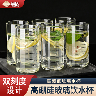 玻璃杯家用水杯套装 一套茶杯 喝水杯子客厅耐高温待客泡茶杯新款