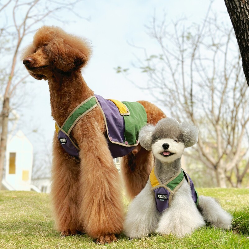 顾皮皮狗狗背带马甲泰迪雪纳瑞巨贵大型犬复古背心撞色露营风春夏